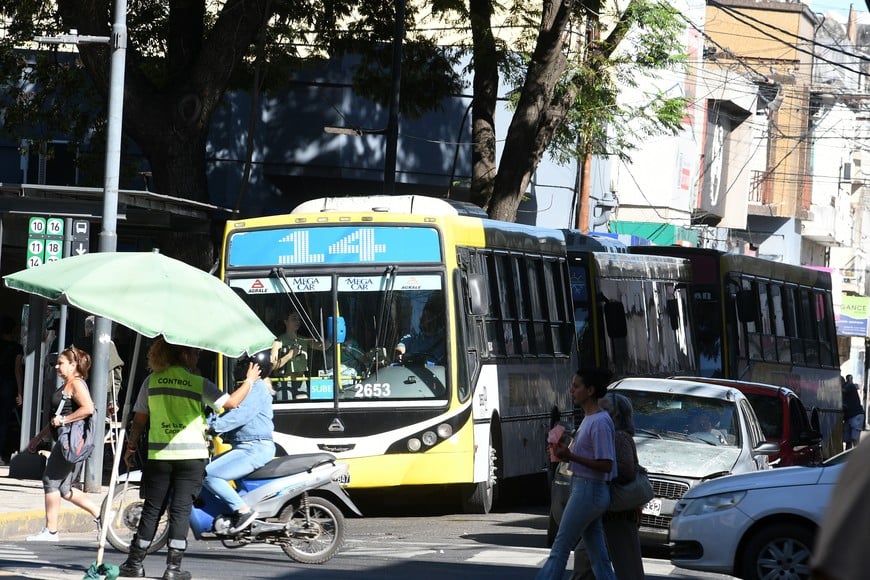colectivos- Di Salvatore