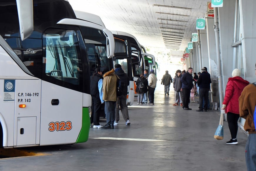 colectivos- Di Salvatore