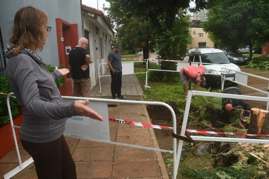 Socavón en Republica de Siria al 4400- Foto: Manuel Fabatia