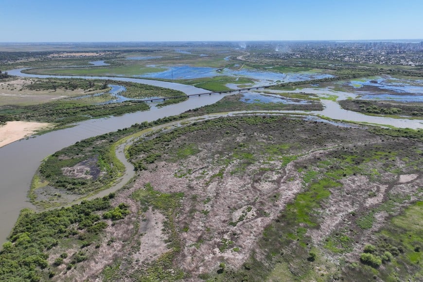 Islas inundables en la zona de Santa Fe.  Fernando Nicola (archivo).