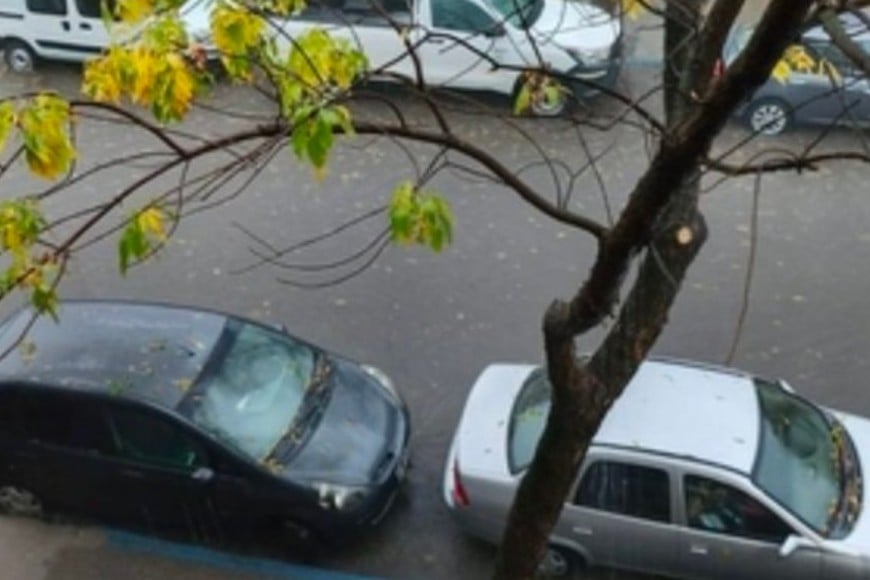 La tormenta provocó caídas de árboles y tendido eléctrico.