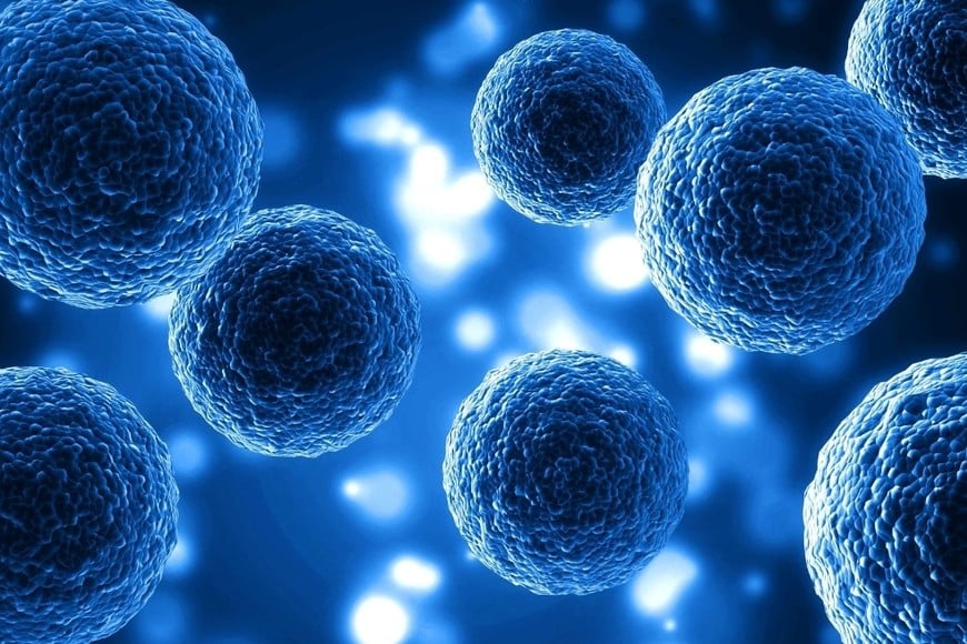 Un nuevo avance científico vuelve a poner en el centro de la escena a la investigación en diabetes tipo 1