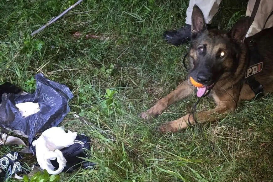 Gran despliegue de la PDI y fuerzas especiales.