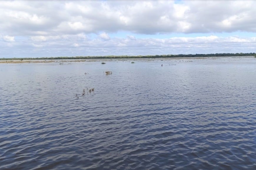 Vera bajo el agua: informe rural advierte un escenario crítico y pide la emergencia