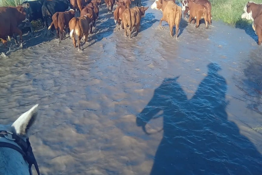Vera bajo el agua: informe rural advierte un escenario crítico y pide la emergencia