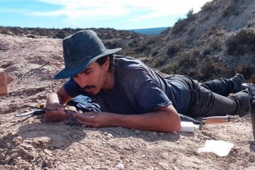 Gerardo Álvarez Herrera buscando fósiles en la excavación de Paleoteius. Foto: gentileza investigadores