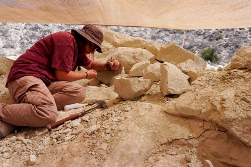 La técnica Ana Moreno Rodríguez buscando fósiles en la excavación de Paleoteius. Foto: gentileza investigadores.