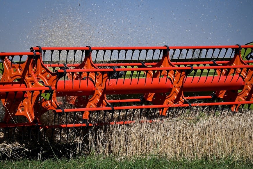FILE PHOTO: Wheat is harvested in Argentina, one of the world's top grain suppliers, in Benito Juarez, Argentina, December 26, 2025. REUTERS/Martin Cossarini/File Photo

 COSECHA DE TRIGO