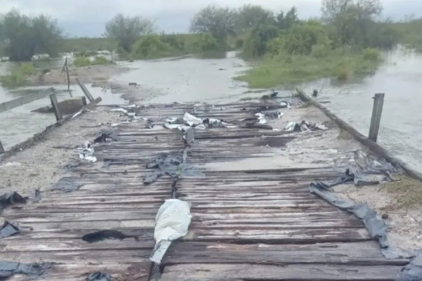 Fortín Olmos: gauchos rescatan hacienda a caballo mientras la inundación golpea al norte
