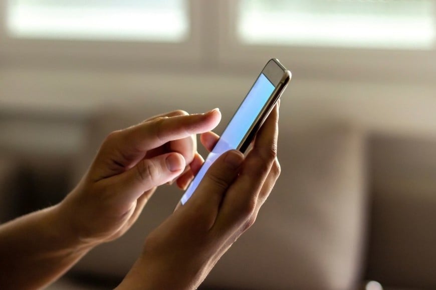 Los padres o tutores podrán acceder a datos generales sobre el uso que hacen los menores