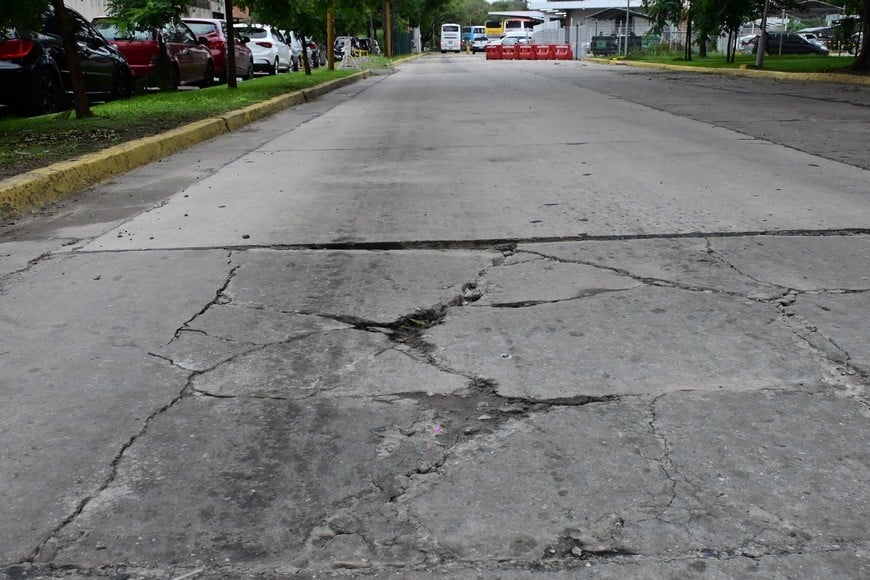 Este es uno de los paños de hormigón armado de la calle de acceso a la Terminal. Flavio Raina.