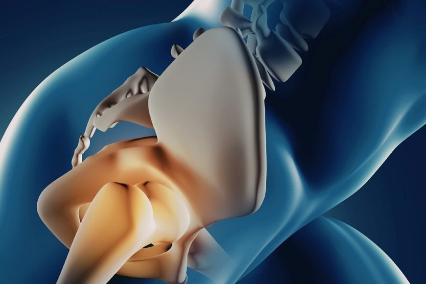 El procedimiento, realizado a fines de 2025, puso al descubierto un escenario preocupante