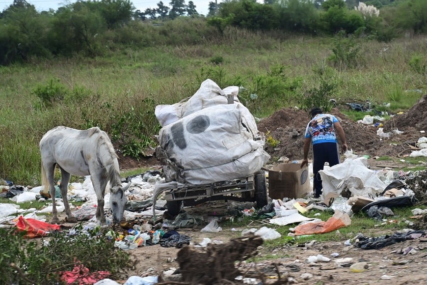Hay recicladores que separan la basura en el lugar.

Flavio Raina.