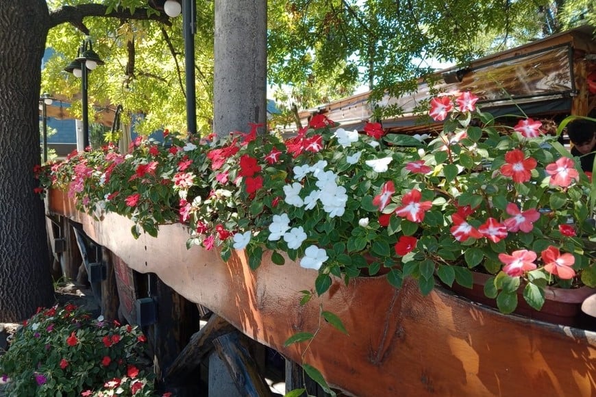 Una constante en Villa General Belgrano: entorno de macetones con flores y carteles repujados en madera y pintados.