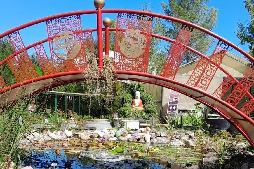 Vivero de plantas acuáticas y palustres, el más grande de Sudamérica. Con nenúfares, lotos de hasta dos metros de alto, lirios de agua, camalotes, repollito de agua, sagitarias, peces en todos los estanques y colibríes en todos los bebederos.