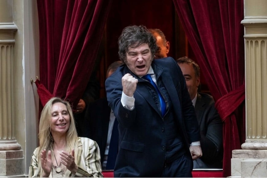 Javier Milei, presidente de la Nación.