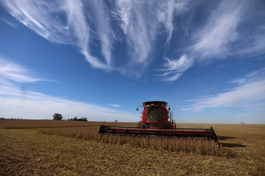 SOJA Soybeans are harvested from a field in Pergamino, on the outskirts of Buenos Aires, Argentina, May 15, 2024. REUTERS/Matias Baglietto