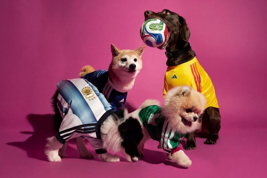 La camiseta argentina también tendrá versión para perros