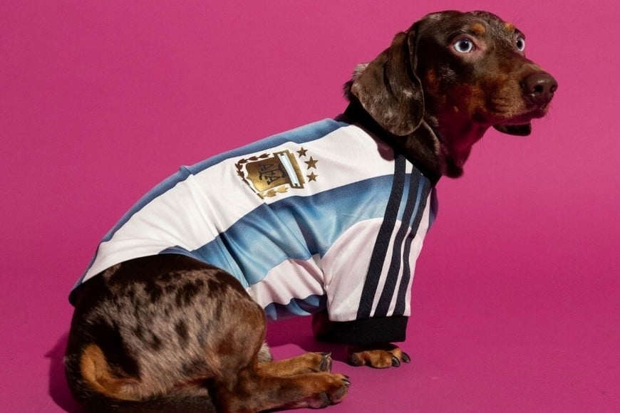 La camiseta argentina también tendrá versión para perros