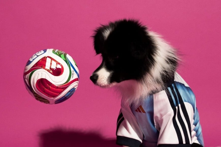 La camiseta argentina también tendrá versión para perros