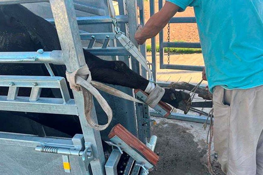 “Sin buenas patas no hay leche”: capacitación estratégica en TodoLáctea 2026