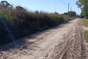 Con un pasado histórico, Adelina Centro enfrenta el desafío de calles deterioradas y terrenos descuidados.