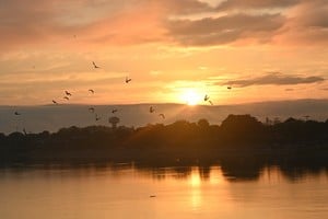 Imagen ilustrativa Créditos: Flavio Raina