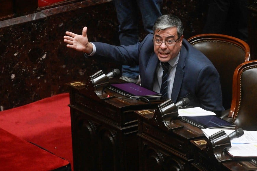 Deputy German Martinez gestures on the day members of a parliamentary committee gather to investigate the $Libra cryptocurrency scandal involving Argentina's President Javier Milei, in Buenos Aires, Argentina April 29, 2025. REUTERS/Mariana Nedelcu