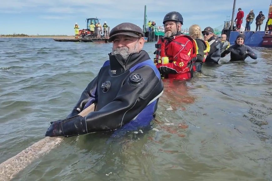 Los rescatistas trabajan para ayudar a la ballena Timmy a subir a la barcaza en aguas cercanas a Poel, Alemania. Foto: Action Press/Shutterstock
