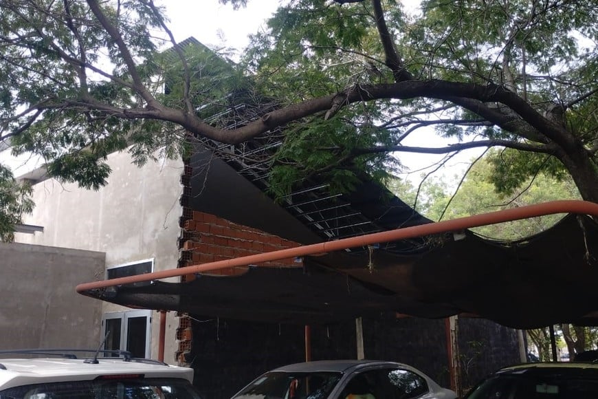 La obra del centro acuático en el Alassia se acerca a su finalización con importantes progresos.