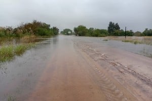 Excesos hídricos complican a la apicultura en el norte de Santa Fe
