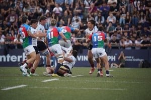 Capibaras vs Pampas. Foto: El Litoral