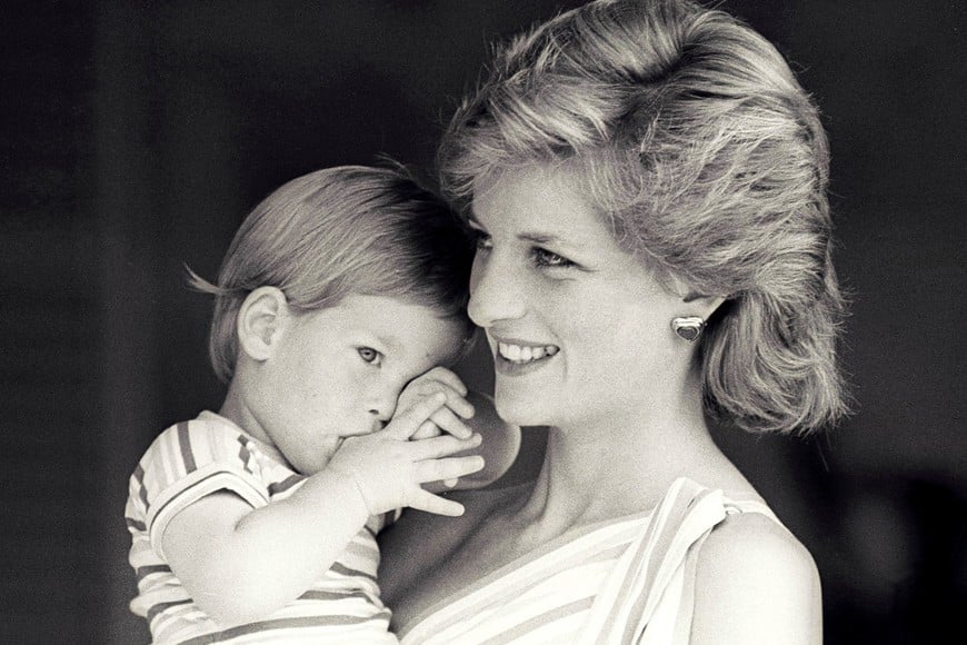 FILE PHOTO - Britain's Princess Diana holds Prince Harry during a morning picture session at Marivent Palace, where the Prince and Princess of Wales are holidaying as guests of King Juan Carlos and Queen Sofia, in Mallorca, Spain August 9, 1988.    REUTERS/Hugh Peralta/File Photo  princesa diana lady di principe harry vida del principe harry luego de la muerte de su madre familia real britanica
