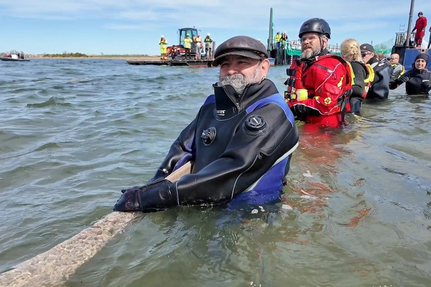 People help a stranded humpback whale into a barge during rescue efforts organised by a private initiative in shallow waters of the Baltic Sea off the island of Poel, near Wismar, Germany, April 28, 2026. In this still image obtained from a video. NonstopNews/Schwarck via REUTERS. THIS IMAGE HAS BEEN SUPPLIED BY A THIRD PARTY. MANDATORY CREDIT.