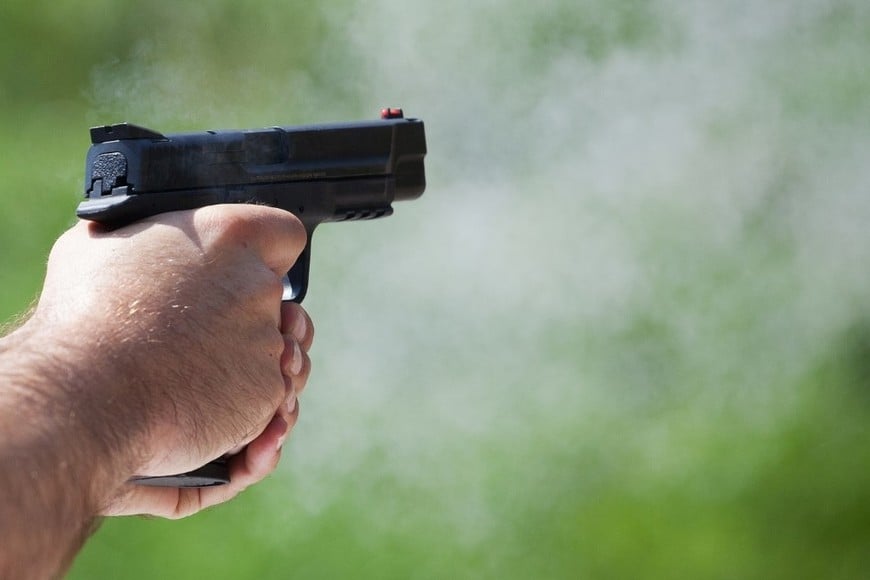 Simplificación de los procesos para acceder a la tenencia y portación de armas de fuego.