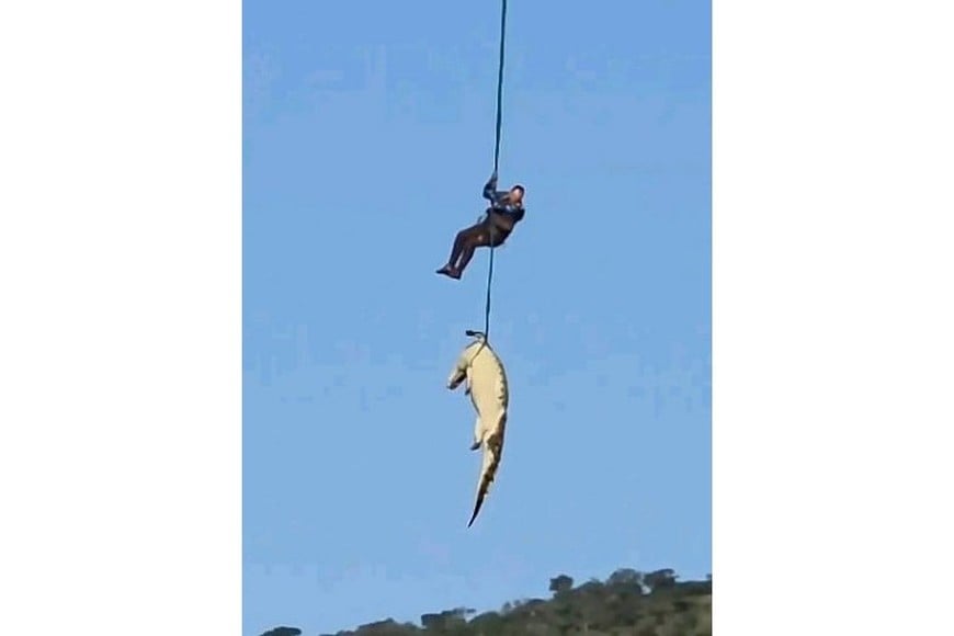 El cuerpo del animal fue trasladado en helicóptero.