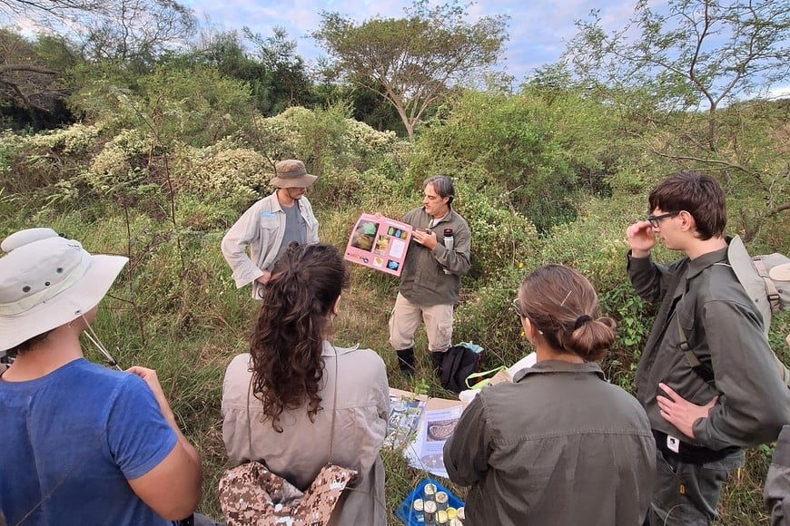 Durante el taller de anfibios.

Milagros Mastaglia (Gentileza).