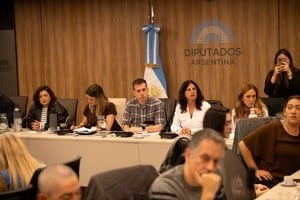 La comisión de Discapacidad de Diputados recibió a referentes del sector que denunciaron crisis en las prestaciones, reclamaron la implementación de la Emergencia y criticaron el nuevo proyecto del Ejecutivo.