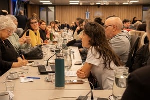 Diputados debate en comisiones los proyectos sobre discapacidad.
HCDN