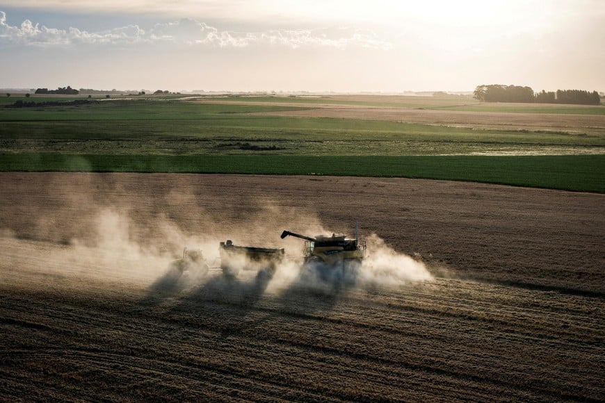 FILE PHOTO: A drone view shows a farmer harvesting wheat in Azul, Argentina, December 26, 2025. REUTERS/Martin Cossarini/File Photo   COSECHA DE TRIGO