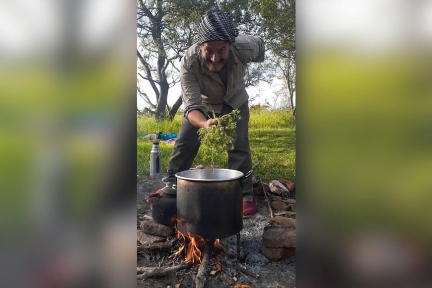 Yuyos que curan: el saber del Paraná que vuelve a la mesa y al cuerpo