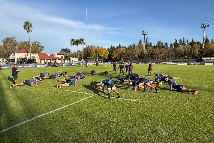 Capibaras XV.