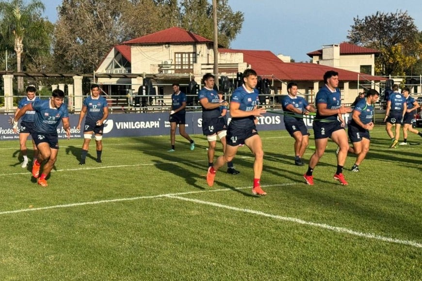 Capibaras XV.