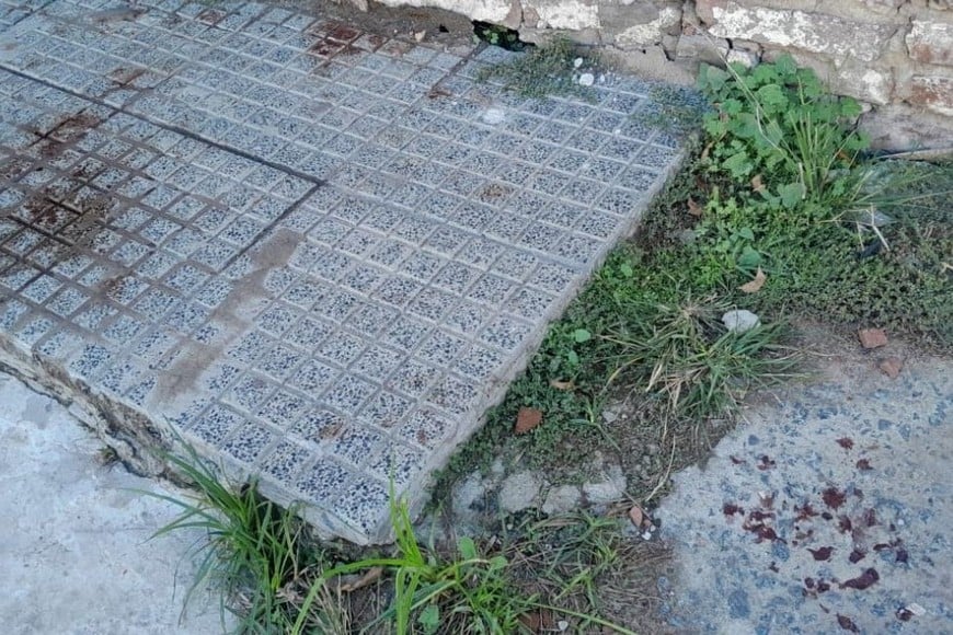 robo distribuidora de Piquete Las Flores