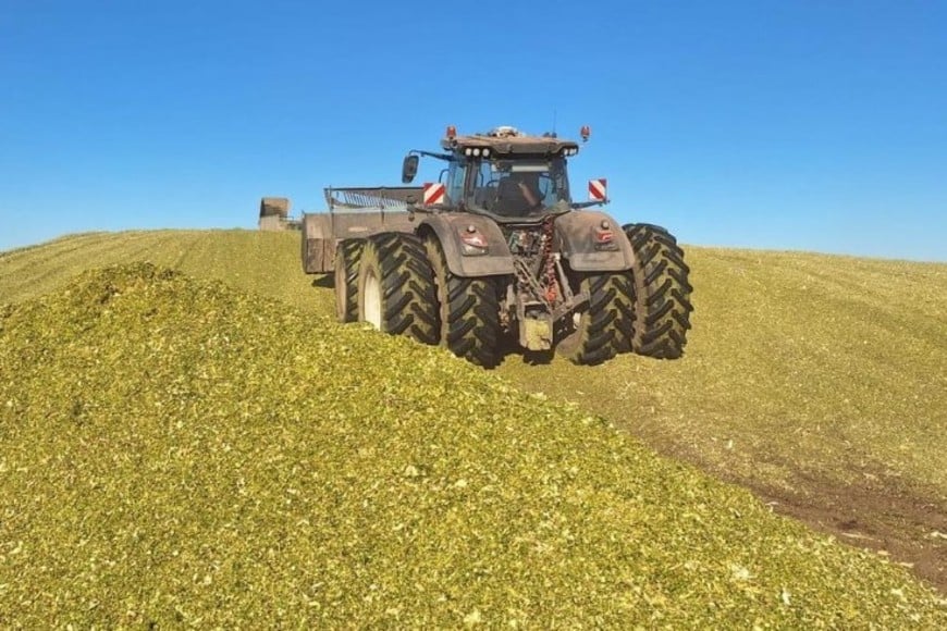 La agricultura de precisión como motor del tambo: el caso de éxito desembarca en TodoLactea