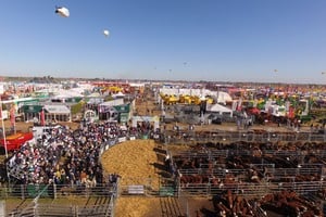 Agroactiva. La exposición en Armstrong vuelve a posicionarse como un ámbito estratégico para el agro argentino