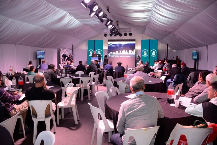 Agroactiva. La exposición en Armstrong vuelve a posicionarse como un ámbito estratégico para el agro argentino