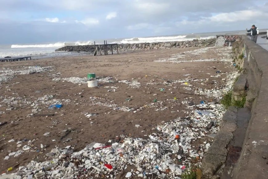Plásticos, ramas y otros desechos fueron devueltos por el mar después del oleaje.