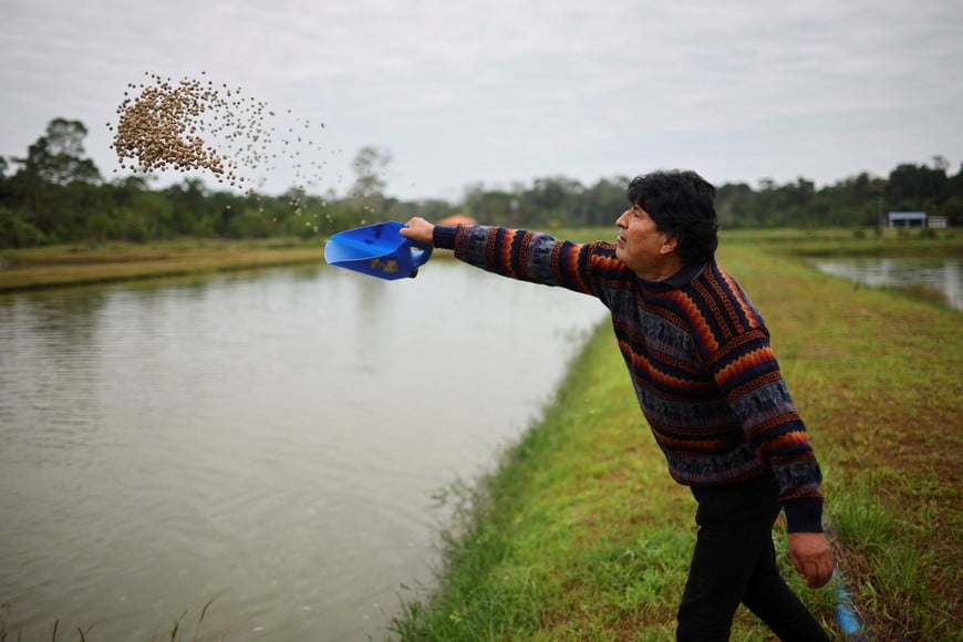 Former Bolivian President Evo Morales feeds his fishes at his farm, ahead of the August 17 general election, in Villa 14 de Septiembre, Cochabamba, Bolivia August 13, 2025. REUTERS/Agustin Marcarian