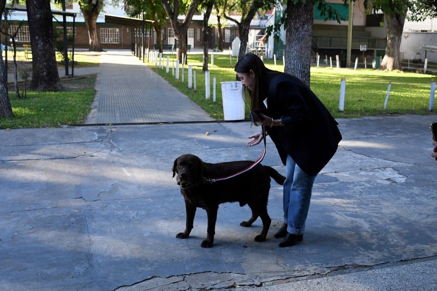 Juan Carlos, el "docente" de cuatro patas. MCSF